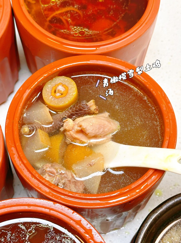 图片[2]-药膳炖盅配方-阿紫姑娘