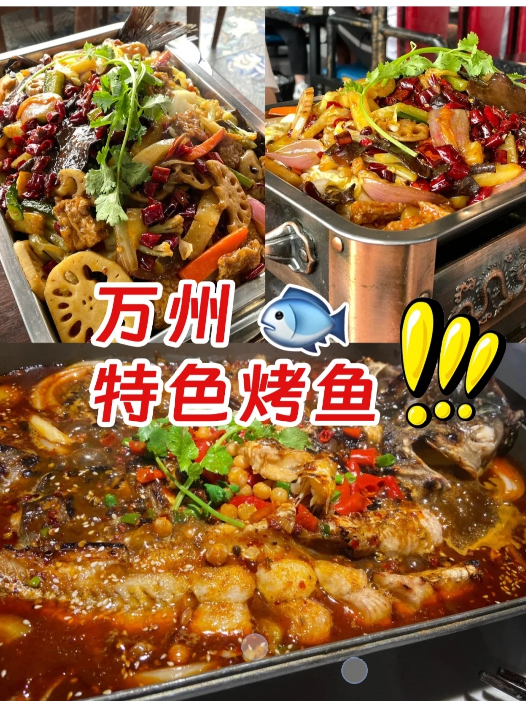 万洲特色烤鱼技术-阿紫姑娘