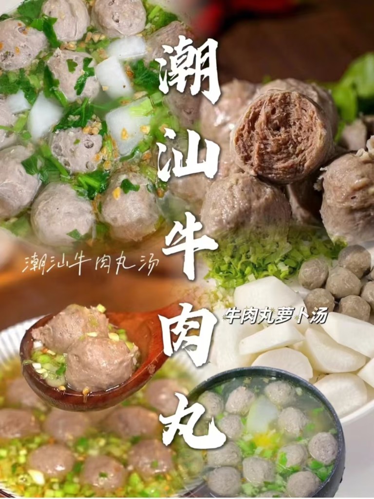 潮汕肉丸配方教程-阿紫姑娘
