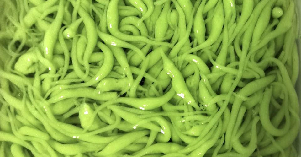 图片[3]-紫寻食集|槐花粉技术教学-紫寻食集-阿紫姑娘小吃配方网