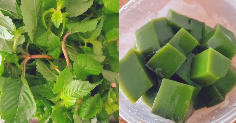 图片[4]-紫寻食集|槐花粉技术教学-紫寻食集-阿紫姑娘小吃配方网